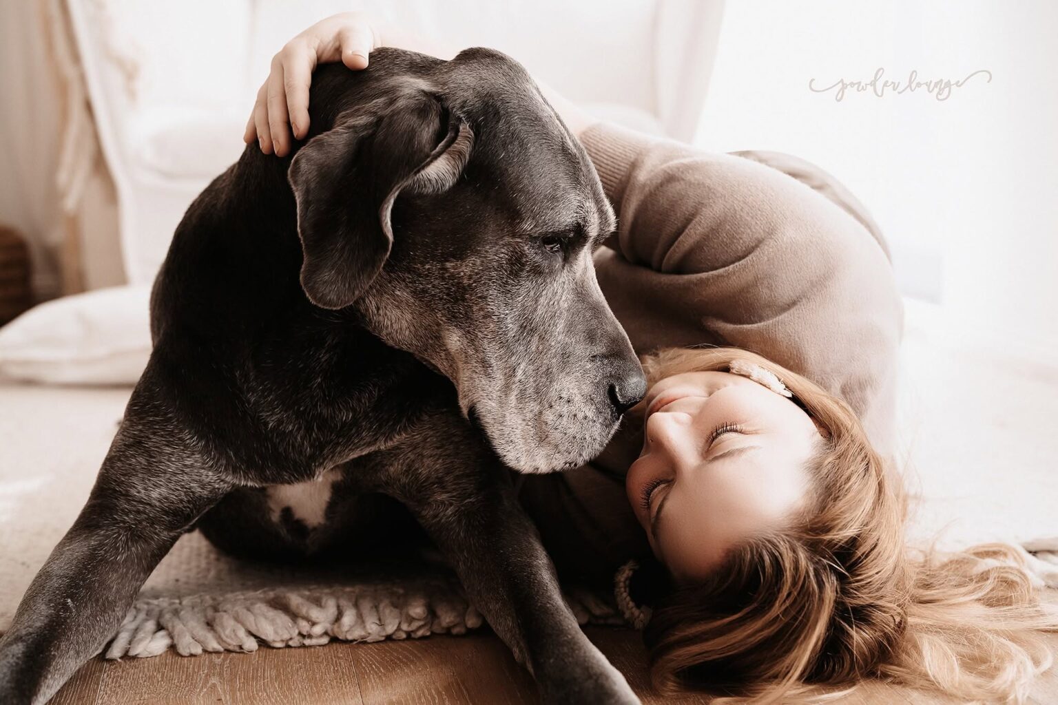 Fra mat hirem Hond